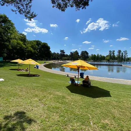 Alloggio in famiglia Ground Floor And Twin Bedroom In Luxurious With Beautiful Garden Very Near Tue And Centre