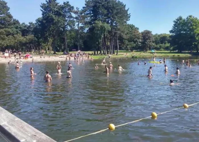 Ground Floor And Twin Bedroom In Luxurious With Beautiful Garden Very Near Tue And Centre *